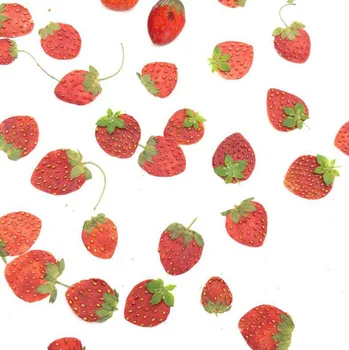 10 adet Kurutulmuş Preslenmiş Mini Meyve Çilek Cilt Dilimleri Epoksi Reçine Takı Yapımı İmi telefon kılıfı Yüz Makyaj Tırnak Sanat DIY