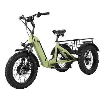 20 inç motorlu 500W 48V 14ah yetişkin 3 tekerlekli kargo ebike üç tekerlekli e trike yağ lastik elektrikli üç tekerlekli bisiklet