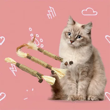 Ahşap Polygonum Oyuncak Kedi Diş Taşlama Sopa Kedi Nane Oyuncak Bite Oyuncak Kedi Malzemeleri