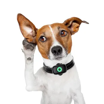 Avrupa için uygun Gerçek Zamanlı İzleme Akıllı Geo Eskrim Pet Yaka GPS İzci Köpek Kedi için Flaş LED ve Ses İle