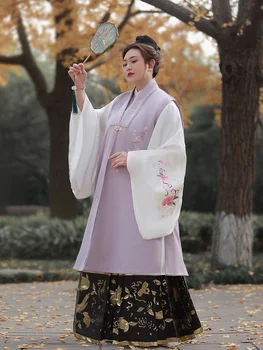 Hanfu Düz Renk Ming Pelerin Dört Mevsim erkek Ve kadın Büyük Boy Elbise Cadılar Bayramı Cosplay Boy Kostüm