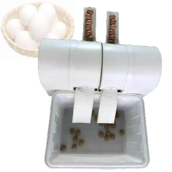 Yeni Tasarım Endüstriyel Küçük otomatik rulo fırça Tipi Ördek yumurta yıkayıcı Plastik Gövde Kaz Yumurta Temizleme Makinesi